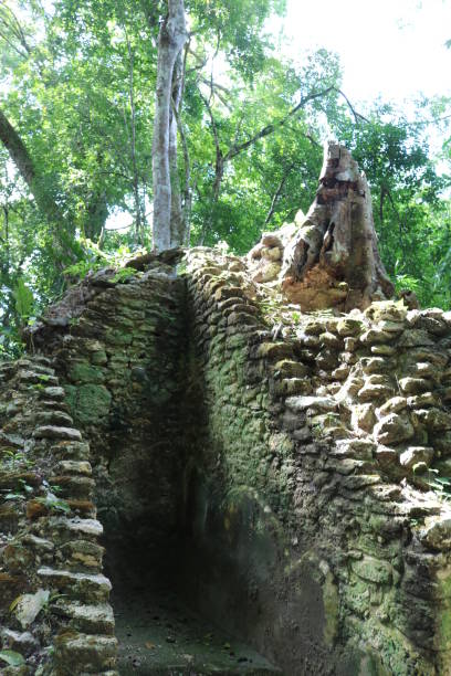 View of large mayan temple in tikal guatemala on sunny day