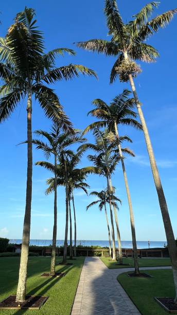 istock MORNING WALK ON THE BEACH 1420632416