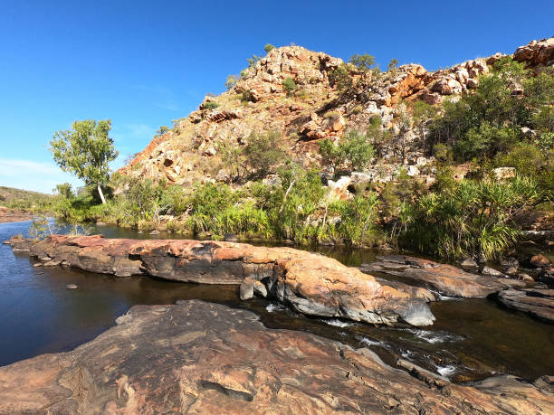 istock Landscape view of Bell Gorge Western Australia 1420633458