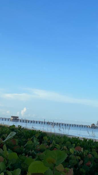 istock A QUIET PIER EARLY IN THE MORNING 1420633988