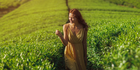 Traveler woman holding green tea leaves in hand during her travel to famous nature landmark tea plantations. Romantic brunette Asian girl in stylish yellow dress walking, enjoying her vacations against perfect landscape background