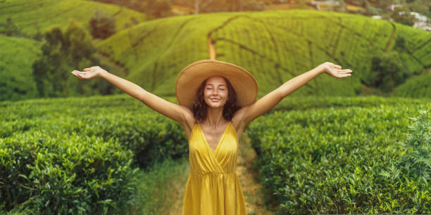 Woman Traveler in Front of Nature Background Tea Plantations Landscape in Sri Lanka stock photo
