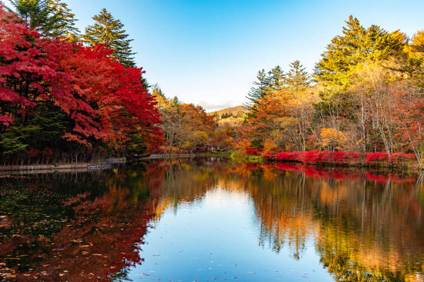 istock Kumobaike Pond autumn foliage scenery view, multicolor reflecting on surface in sunny day 1420648867