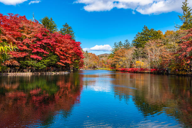 Kumobaike Pond autumn foliage scenery view, multicolor reflecting on surface in sunny day stock photo