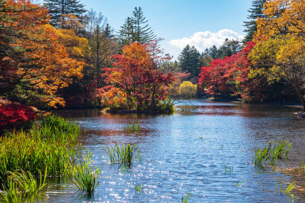 istock Kumobaike Pond autumn foliage scenery view, multicolor reflecting on surface in sunny day 1420649510