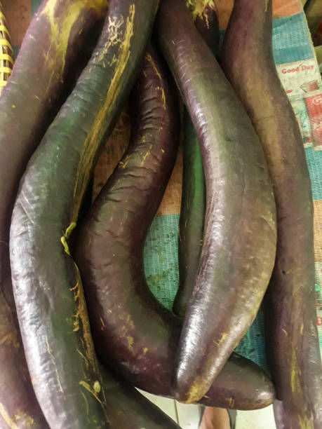 istock Photo of eggplant 1420653802