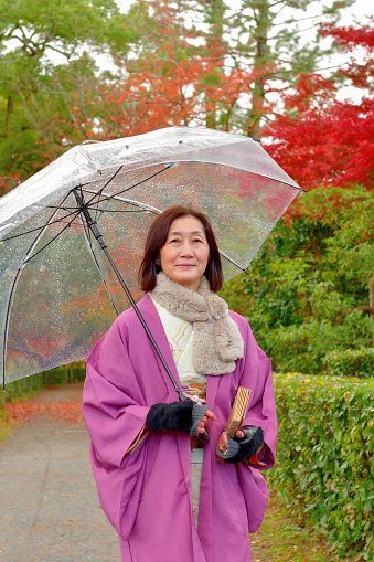 A mature Japanese woman in kimono is appreciating beautiful autumn leaf color of a public park of Kyoto, on a rainy day.