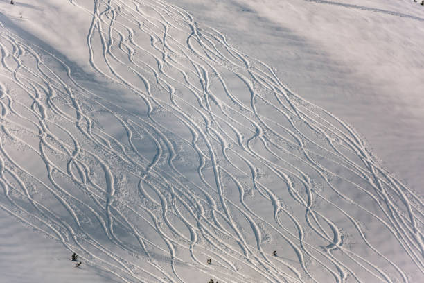 pista de esquí nevada fuera de pista con rastros de esquís y tablas de snowboard en un día de invierno - powder snow ski ski track track fotografías e imágenes de stock