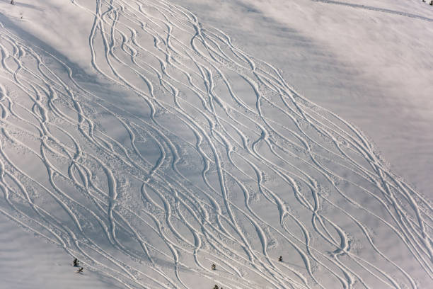 śnieżny stok narciarski poza trasą ze śladami nart i snowboardów w zimowy dzień - ski trace zdjęcia i obrazy z banku zdjęć