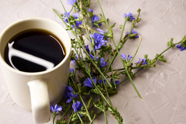 istock chicory powder in a coffee mug next to chicory flowers 1420659945