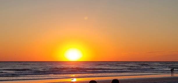 istock Beauty in nature 1420660714