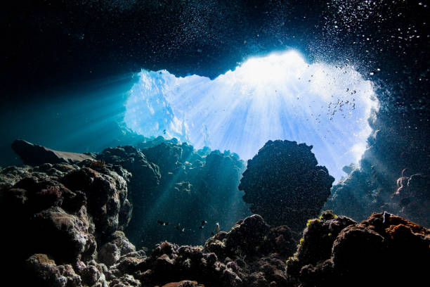 Spectacular View: Looking up to the Entrance of a Cave, Palau, Micronesia stock photo