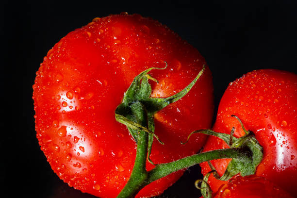 istock photo tomatoes with drops of water on a black background 1420663021
