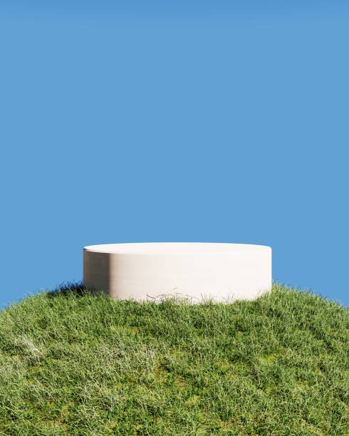 istock wooden podium mockup on grass, 3d rendering 1420664291