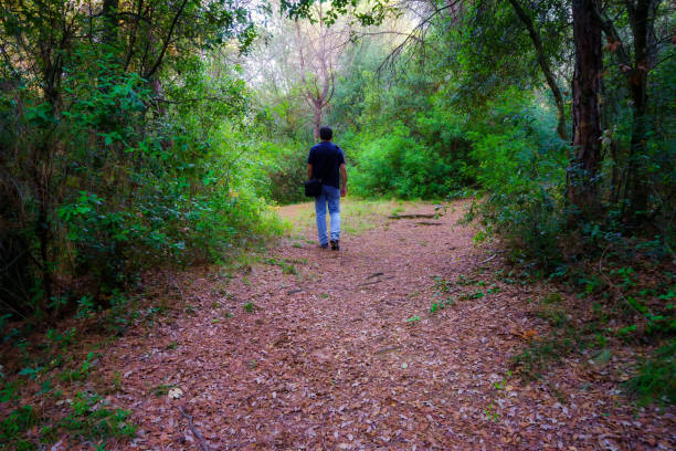Man walking with a walking stick on a forest path close to the city