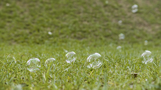 Soap bubbles against the grass background. Summer landscape with soap bubbles lying on the green meadow, concept of childhood and fun.