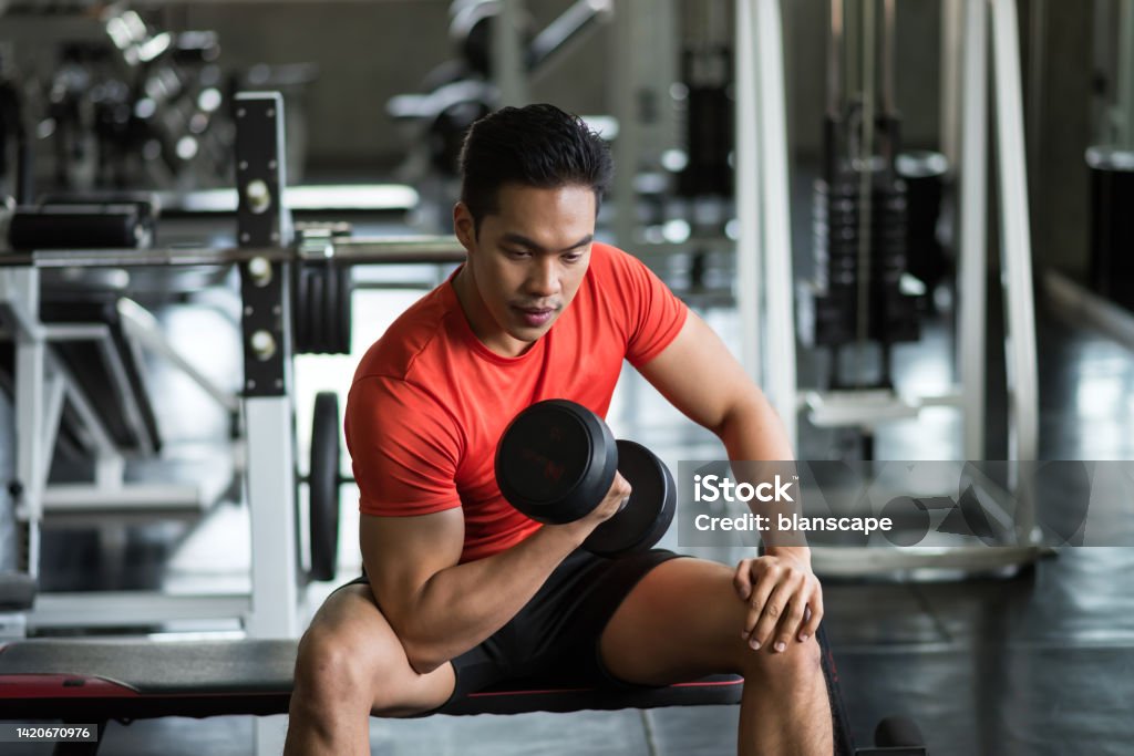 Strong Asian man exercise biceps with heavy dumbbells in gym Strong Asian muscle man sit and exercise biceps with heavy dumbbells in fitness gym. Muscular body sportsman. Bodybuilding and healthy sport lifestyle concept. Men Stock Photo