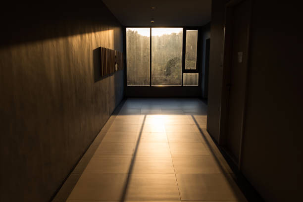 istock Silhouette office with sunset light leak by window 1420670984
