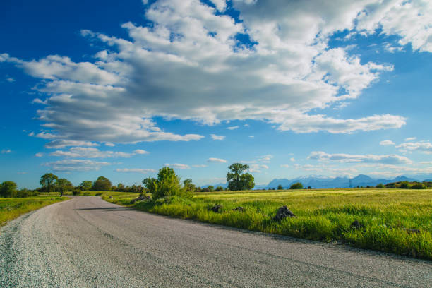 istock Field of spring fresh green grass 1420673892