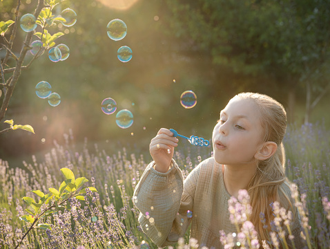 Beautiful little girl blowing soap bubbles in a field with lavender