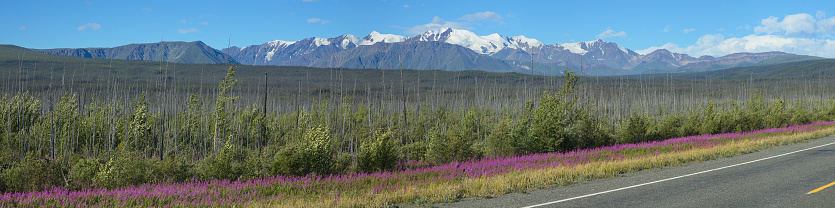 Mountain panorama at Kluane Lake from Alaska Highway in Yukon,Canada,North America