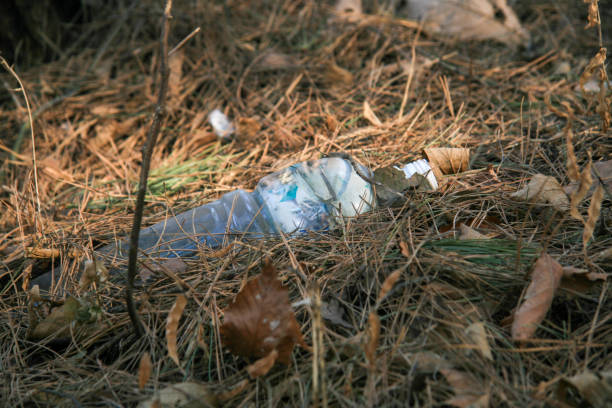 istock used drink bottles in the forest 1420688088