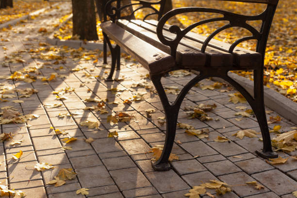 istock Wooden bench in autumn park 1420691088