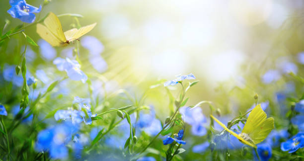 istock art abstract spring background with fresh flowers and flying butterflies 1420691625