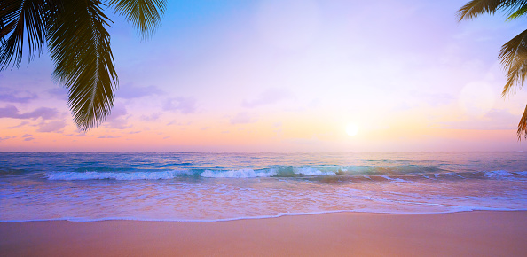 Art Beautiful sunset tropical beach background; palm trees and sea waves