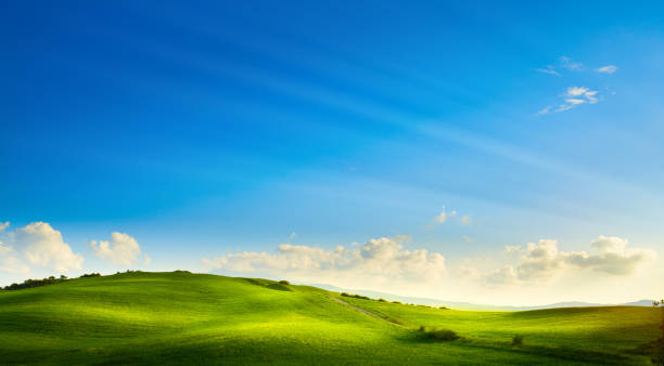 istock art rural landscape. field and grass 1420691788