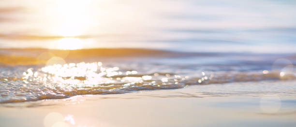 istock Abstract summer vacation background. Bokeh sunset light on summer sea beach 1420691864