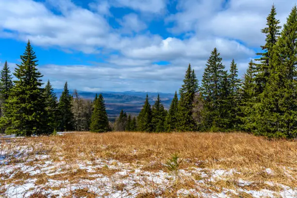 Photo of South Ural forest with a unique landscape, vegetation and diversity of nature.