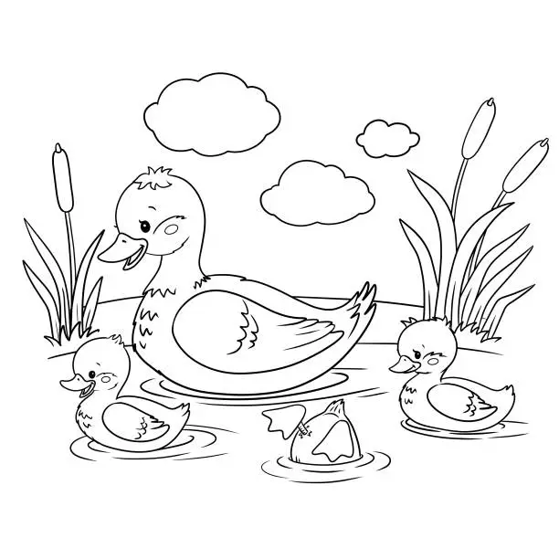 Vector illustration of Duck with ducklings