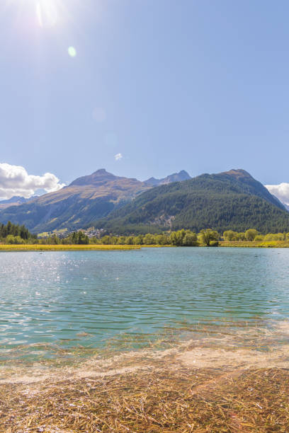 Lej da Gravatscha View of the lake in the mountains samedan stock pictures, royalty-free photos & images