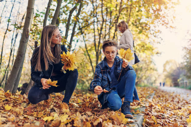 mutter und zwei jugendliche sammeln herbstlaub - 12 17 monate stock-fotos und bilder