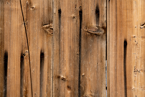 Old wood background. Wooden texture.
