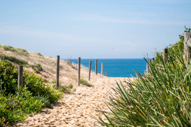 istock Sandy pathway to the ocean beach. Access path walkway to the sandy beach entrance. Travel tourism vacation 1420711706