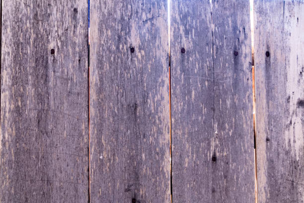 Untreated old wooden plank fence