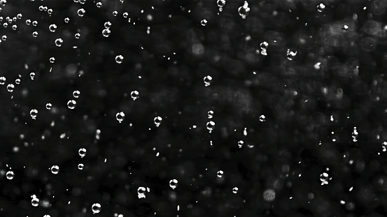 Transparent round bubbles of air flowing underwater on black background, seamless loop. Close up of tiny bubbles moving slowly.
