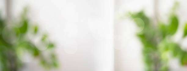 istock abstract blurred green garden natural view from window in living room panoramic background 1420714148