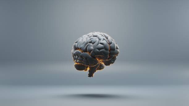 istock Beautiful abstract, black brain with orange light  symbol on a blue background . 3d rendering illustration. Background pattern for design. 1420714513