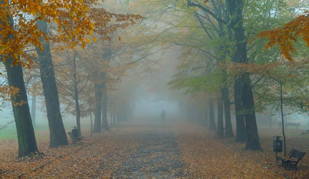 istock Autumn landscape in the park 1420715295