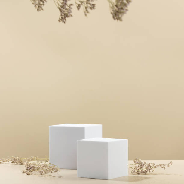 istock Abstract empty white podiums with dry flowers on beige background 1420716161