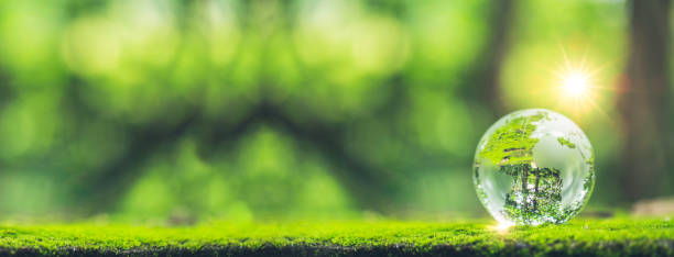 istock Sunlight with earth sphere crystal or sustainable globe glass on green moss nature background in ecology environment forest. concept of tree conservation environmental, protection planet eco. 1420716454