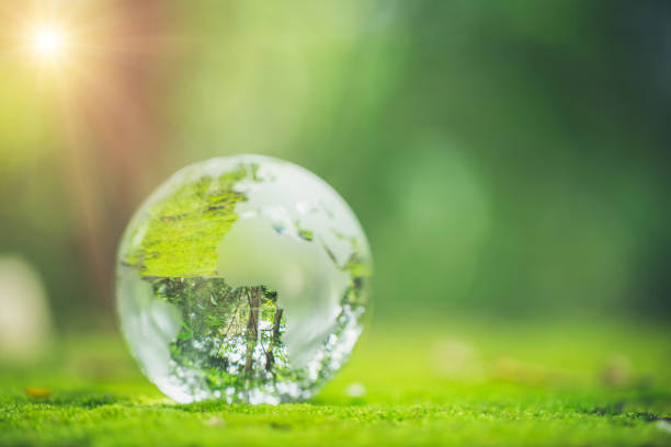 istock Sunlight with earth sphere crystal or sustainable globe glass on green moss nature background in ecology environment forest. concept of tree conservation environmental, protection planet eco. 1420716702