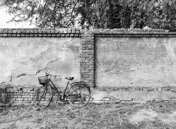 A red bicycle with a front basket leans against an old, moss-covered brick wall. The rustic setting features weathered bricks, patches of greenery, and a natural, earthy atmosphere.