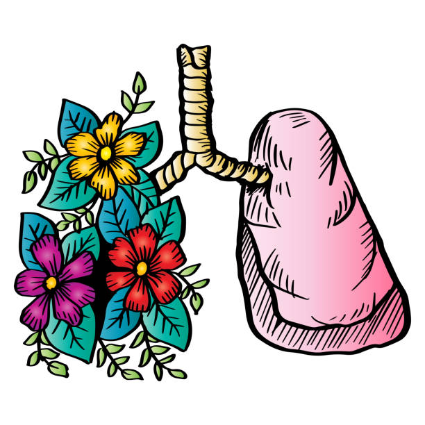 illustrazioni stock, clip art, cartoni animati e icone di tendenza di polmoni con fiori a mano che disegnano illustrazione. concept design di persone sane - human lung ideas healthcare and medicine flower