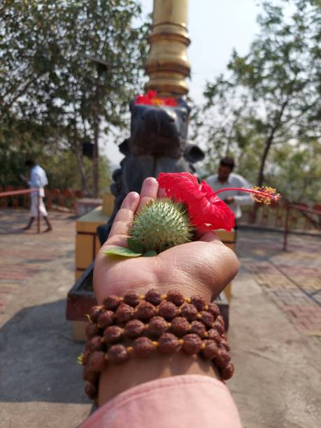 świątynia shiv - lingam zdjęcia i obrazy z banku zdjęć