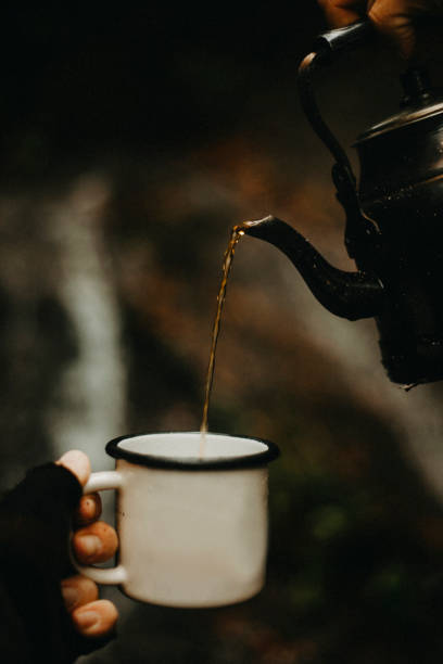 istock Brewing tea with a teapot on fire in nature 1420723982