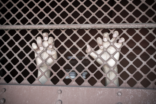 Close-up of a man in prison hands of behind hold Steel cage jail bars. offender criminal locked in jail.